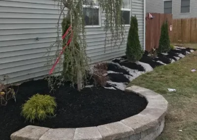 Reliable Tree Removal